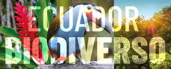 Ministerio del Ambiente, Agua y Transición Ecológica